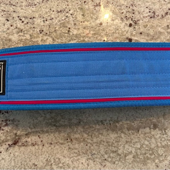 E26 Blue Weightlifting Belt - Picture 4 of 7